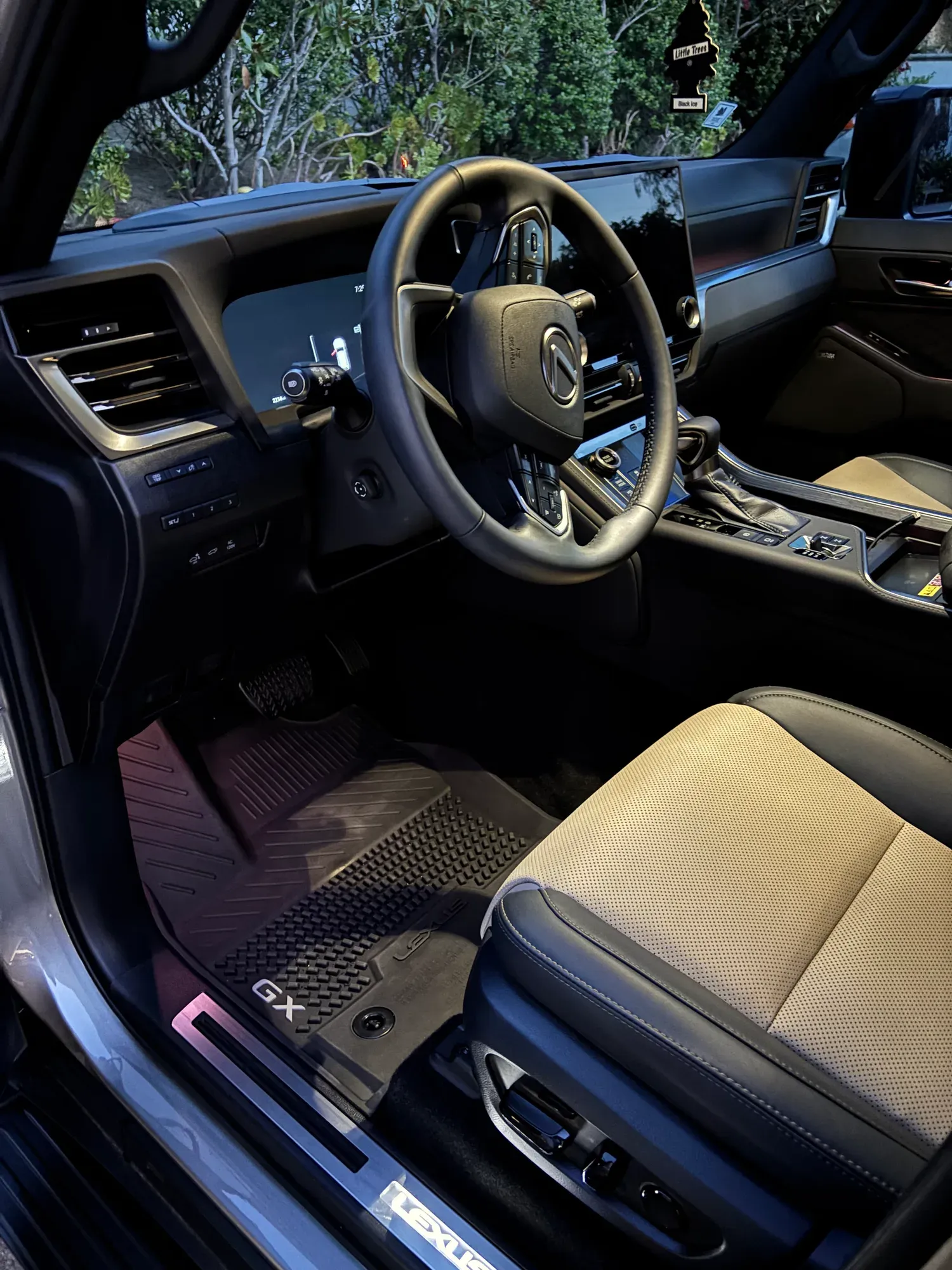 Lexus interior detail